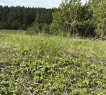 Уютный загородный дом в окружении живописной природы!