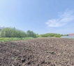 15 соток у леса !