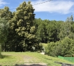 Организован спуск на воду для катера.<br />В 100 метрах от дома благоустроен родник с вкуснейшей водой, сразу за которым можно прогуляться по лесу.<br /><br /><br /><span style="text-decoration:underline;"><strong>Юридические аспекты:</strong></span><br /><br />Единственный собственник, без залогов и обременений.<br />Все документ готовы для сделки, а дом - для новоселья!<br />​​​​​​​Возможен обмен, торг.<br /><br />​​​​​<br /><br /><em>Приобретая этот дом, Вы приобретаете не просто стены - Вы получаете стиль жизни, наполненный умиротворением, гармонией и счастливым временем, проведенным с близкими людьми.</em><br /><br />Рядом находятся: Верхний Услон, Нижний Услон, Ключищи, Печищи, Моркваши, Октябрьский, Никольское<br /><br /><p><strong>С уважением, ваш гид в мире недвижимости, Шахимарданова Гузель.</strong></p><p><strong>АН «МЕГАЛИТ» основано в 2004 году.