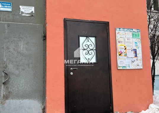 В пользование предоставыляется мебель (на фото).