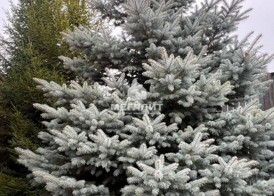 Звоните сейчас и узнайте все подробности!<br /><br />Рядом поселки: Кызыл-Байрак, Нариман, Ташевка, Ключищи, Нижний Услон, Теньки, Лабышка, Гребени, Матюшино.<br /><br />Возможен обмен, торг, ипотека.<br />​​​​​​​<br /><strong>С уважением, ваш гид в мире недвижимости, Ольга Валиуллина.<br />АН «МЕГАЛИТ» основано в 2004 году.