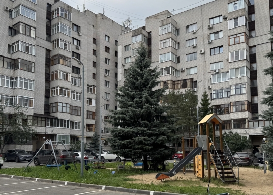 По ул. Пионерская расположена гимназия №20, по ул. Н.