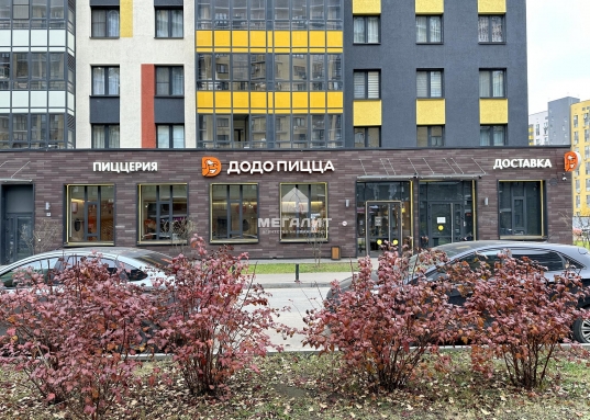 Адрес: ул. Натана Рахлина, дом 7, Количество комнат: 1, Общая площадь: 41.3 м<sup>2</sup>, Жилая площадь: 17.3 м<sup>2</sup>, Площадь кухни: 9.7 м<sup>2</sup>, Этаж: 10/17, Район: Советский