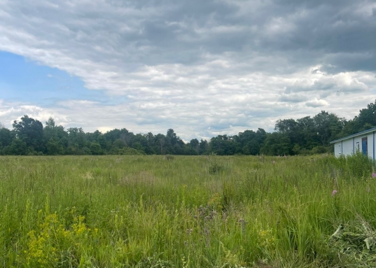 <strong>Ищете идеальную площадку для развития своего бизнеса?