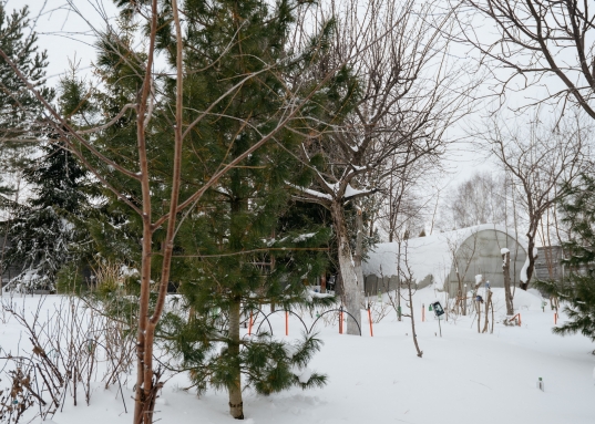 Матюшино прямо на берегу матушки Волги Вы найдете то, о чем мечтали!<br /><br />Дом построен в 2006 году, есть баня, гараж, теплица, летняя кухня с зоной барбекю, выполнено полное благоустройство участка: брусчатка, большое количество декоративных и плодовых деревьев: сосны, ели, кедры, разнообразие можжевельников и туй, яблони, груши, вишни, 6 сортов винограда и многое другое будут радовать Вас каждое лето!<br /><br /><strong><span style="text-decoration:underline;">О доме:</span></strong><br /><br />Год постройки: 2006<br />Площадь 200,6 м2<br />Материал стен: кирпич<br />Фундамент: блочный<br />Количество этажей: 2<br />Количество спален: 5<br />Коммуникации: отопление: индивидуальный газовый котел с насосом, электричество: 380 Вольт, вода: артезианская скважина.<br />Внутренняя отделка: различные сорта древесины - лиственница, сосна, дуб и тд.<br /><br />Дом полностью экологичен, каким и должен быть качественный дом для жизни на природе!<br />Великолепные видовые характеристики в любое время года: летом - бескрайние просторы Волги и щебет птиц, зимой - настоящая Новогодняя сказка!<br /><br /><strong><span style="text-decoration:underline;"> Об участке:</span></strong><br /><br />Площадь участка: 16,27 сот.<br />Участок расположен в 300 метрах от берега Волги.