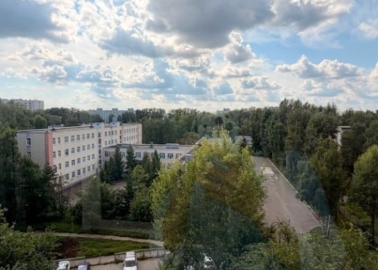 Один взрослый собственник, более 5 лет в собственности.