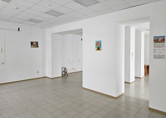 Имеется 3 входных группы: центральный - со стороны дороги и 2 запасных - с бокового и заднего фасадов здания.<br /><br />Помещение идеально подходит по торговлю: удобная планировка (просторный торговый зал 113 кв.м.), хорошая обзорность, место под вывеску.