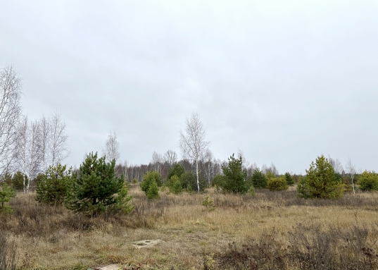 Важно отметить высокий интерес со стороны покупателей на участки в данном месте.